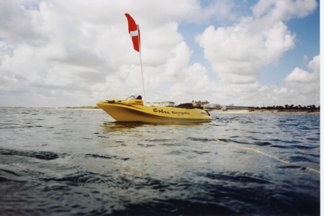 Diving for Lobster in Florida